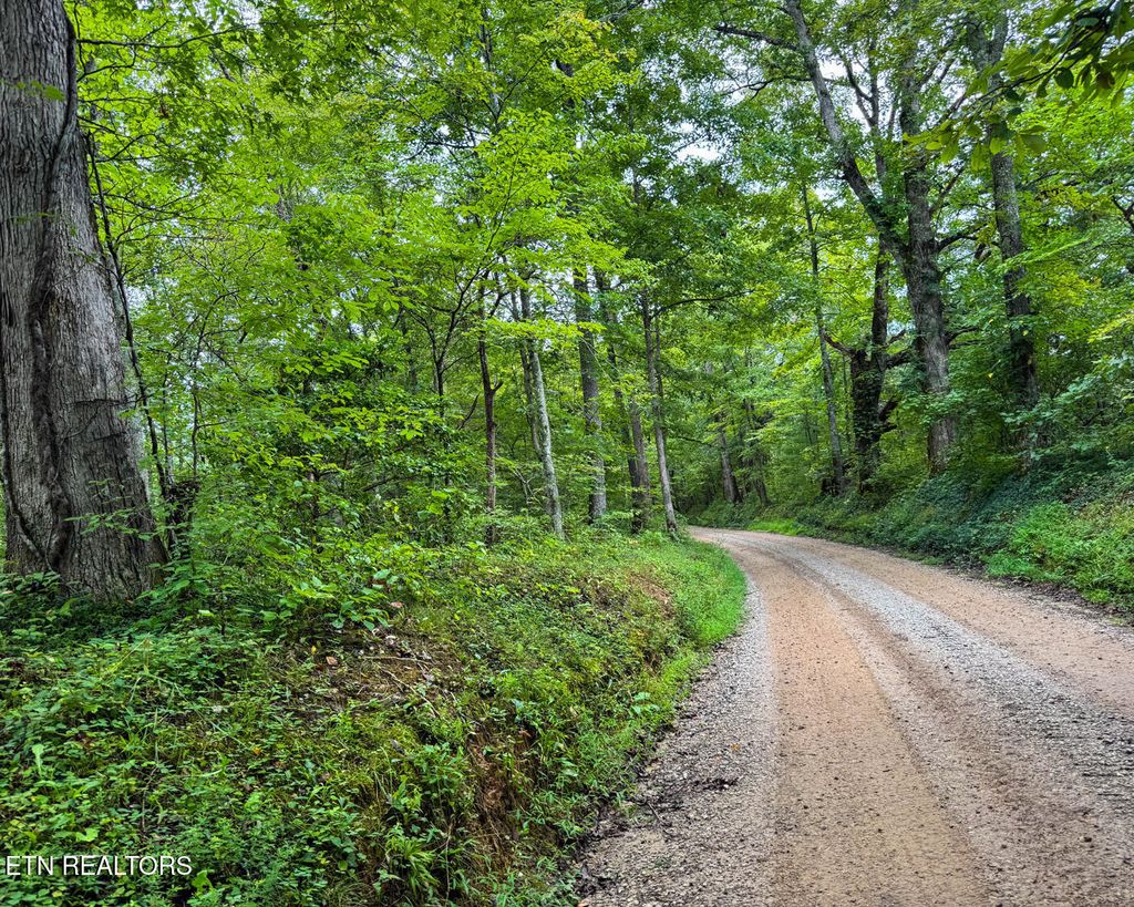 Photo of Sheep Ranch Rd., Robbins, TN 37852 (MLS # 1326487)