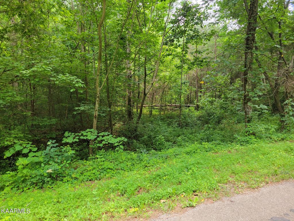 Photo of 587 Ballplay School Road Rd, Tellico Plains, TN 37385 (MLS # 1231838)