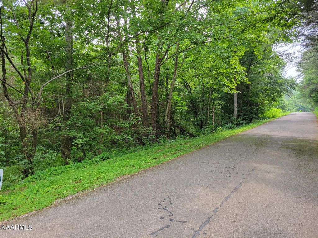 Photo of 587 Ballplay School Road Rd, Tellico Plains, TN 37385 (MLS # 1231838)