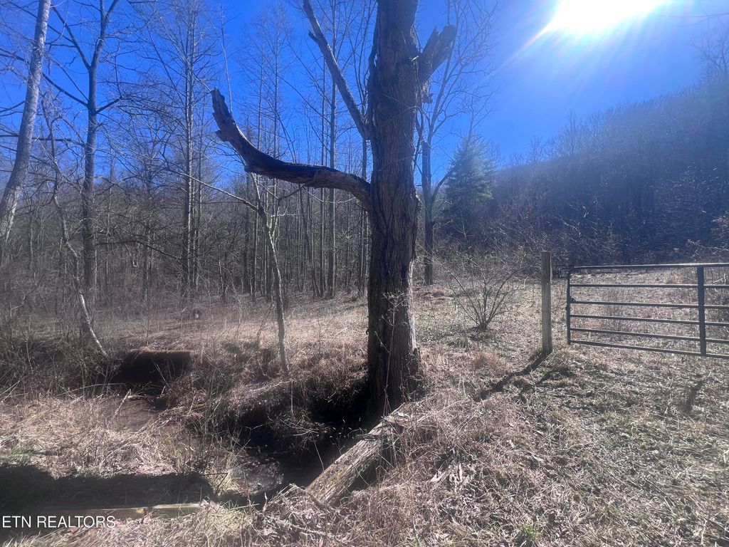 Photo of 603 Sled Creek Rd, Duff, TN 37729 (MLS # 1330843)