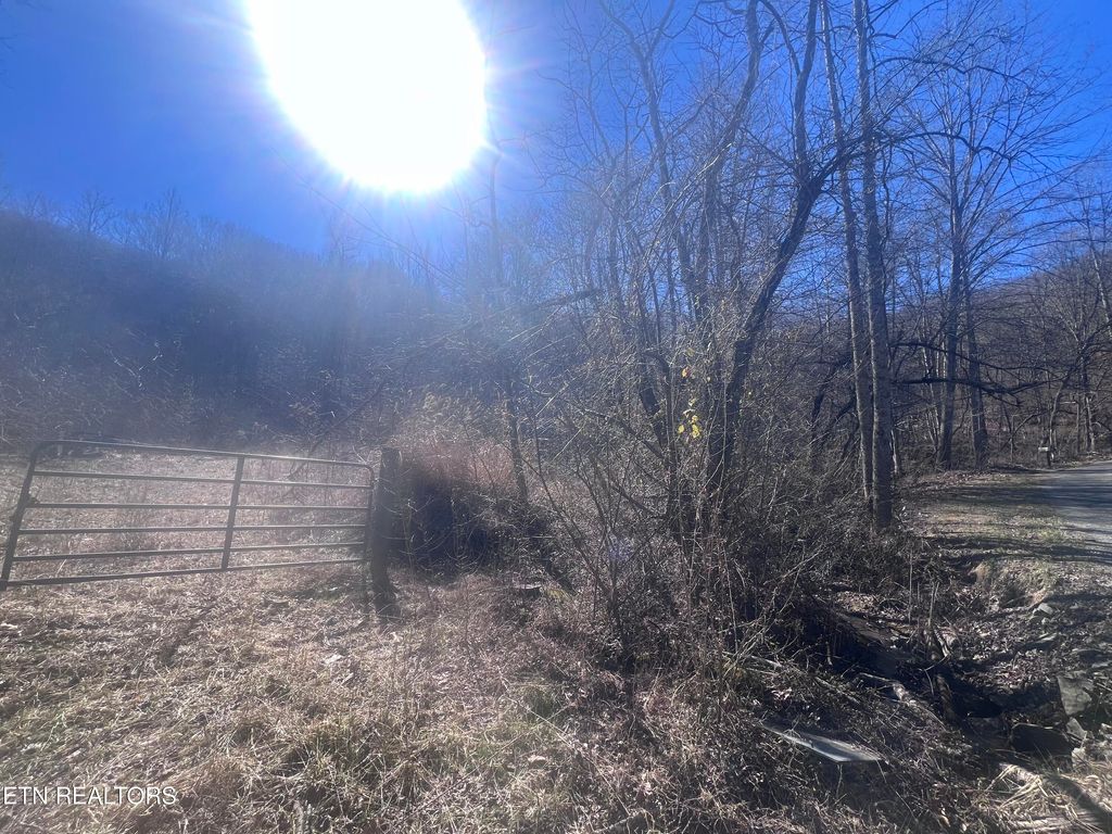 Photo of 603 Sled Creek Rd, Duff, TN 37729 (MLS # 1330843)
