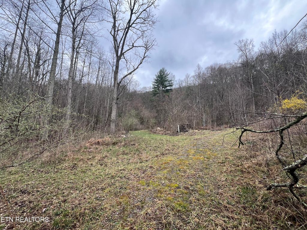 Photo of 603 Sled Creek Rd, Duff, TN 37729 (MLS # 1330843)