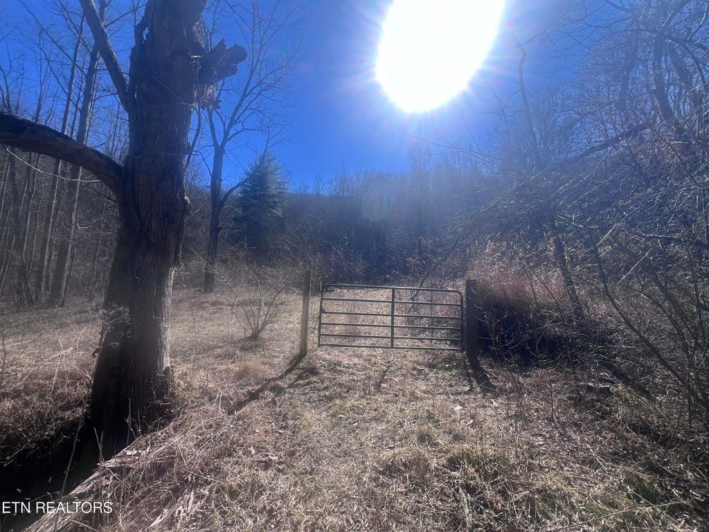 Photo of 603 Sled Creek Rd, Duff, TN 37729 (MLS # 1330843)