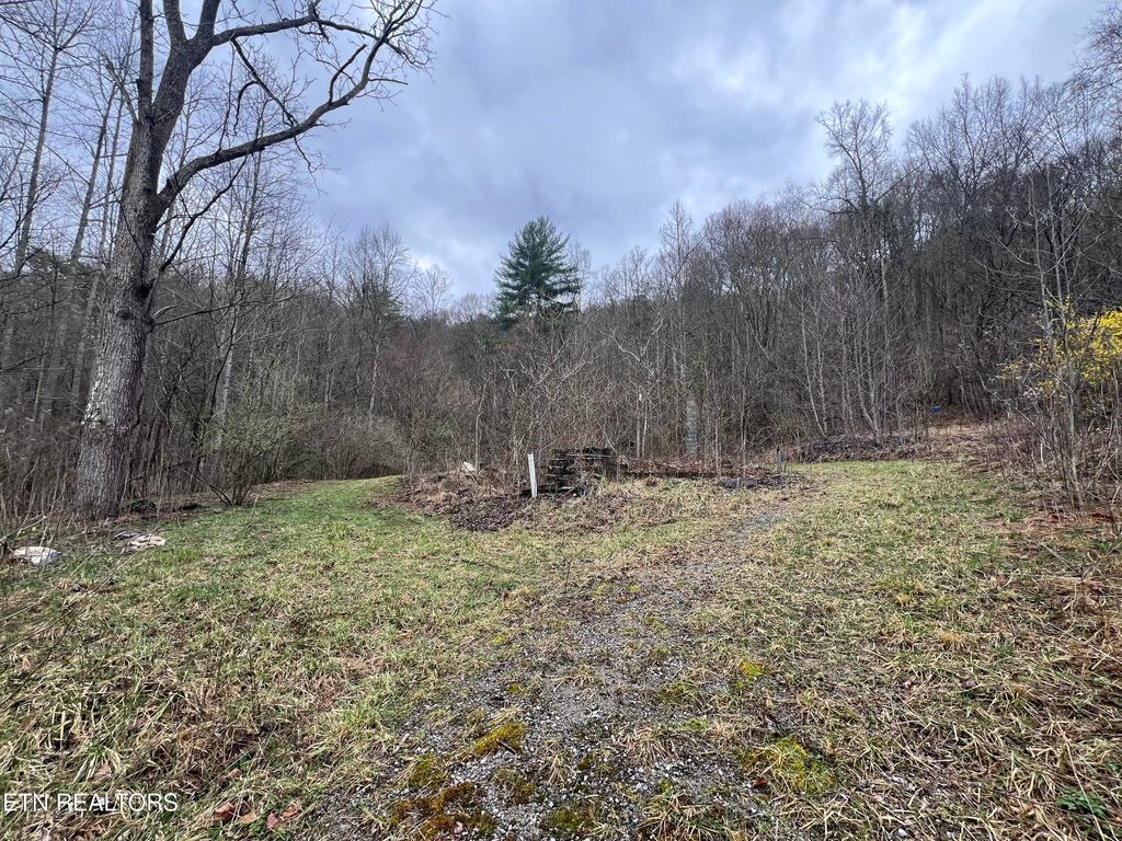 Photo of 603 Sled Creek Rd, Duff, TN 37729 (MLS # 1330843)