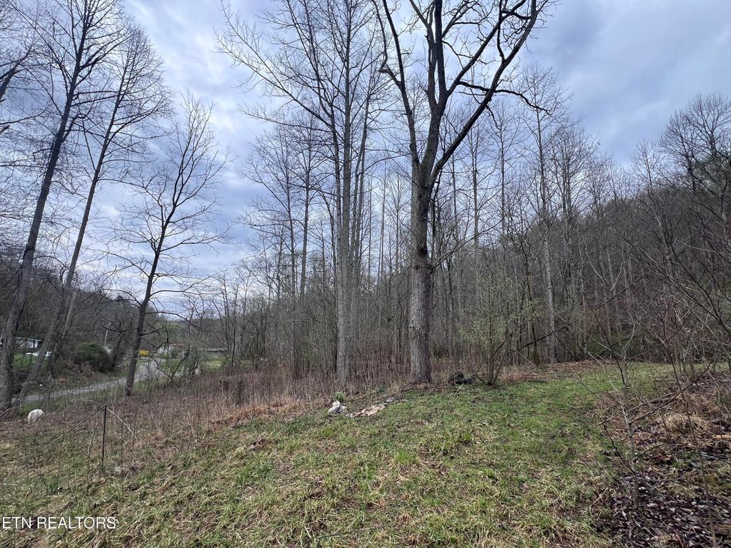 Photo of 603 Sled Creek Rd, Duff, TN 37729 (MLS # 1330843)