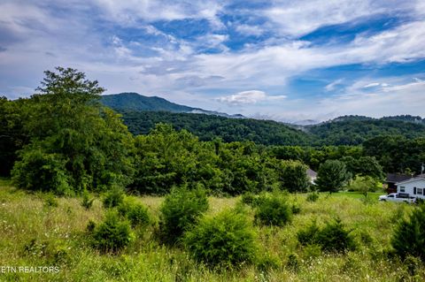 Tiny photo for 145 Mountain Mist Drive, Del Rio, TN 37727 (MLS # 1334597)