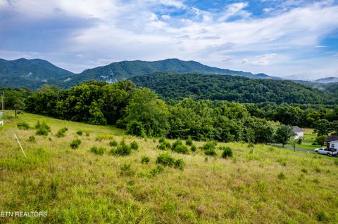 Tiny photo for 145 Mountain Mist Drive, Del Rio, TN 37727 (MLS # 1334597)