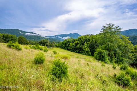 Tiny photo for 145 Mountain Mist Drive, Del Rio, TN 37727 (MLS # 1334597)