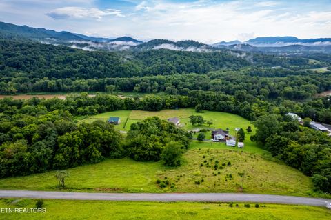 Tiny photo for 145 Mountain Mist Drive, Del Rio, TN 37727 (MLS # 1334597)