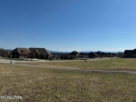 Photo of 108 White Hawk Drive, Vonore, TN 37885 (MLS # 1325725)