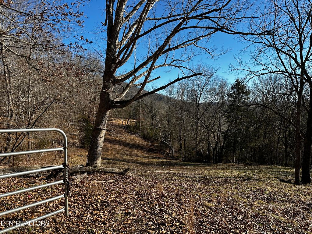 Photo of Campbell Cemetery Lane, Tazewell, TN 37879 (MLS # 1250268)