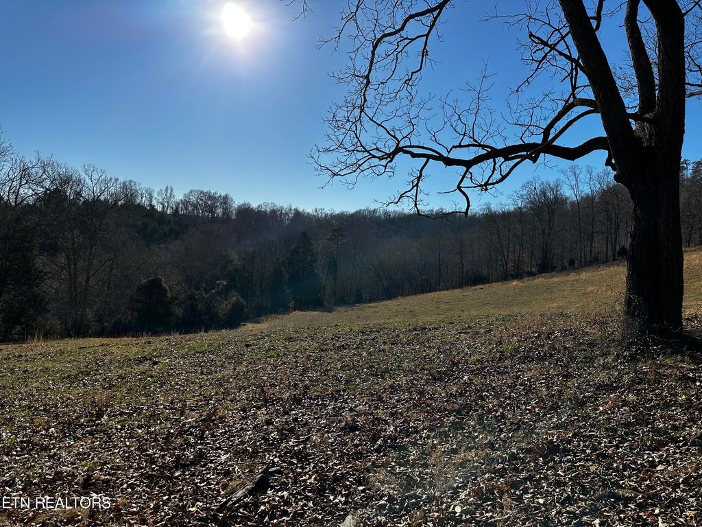 Photo of Campbell Cemetery Lane, Tazewell, TN 37879 (MLS # 1250268)