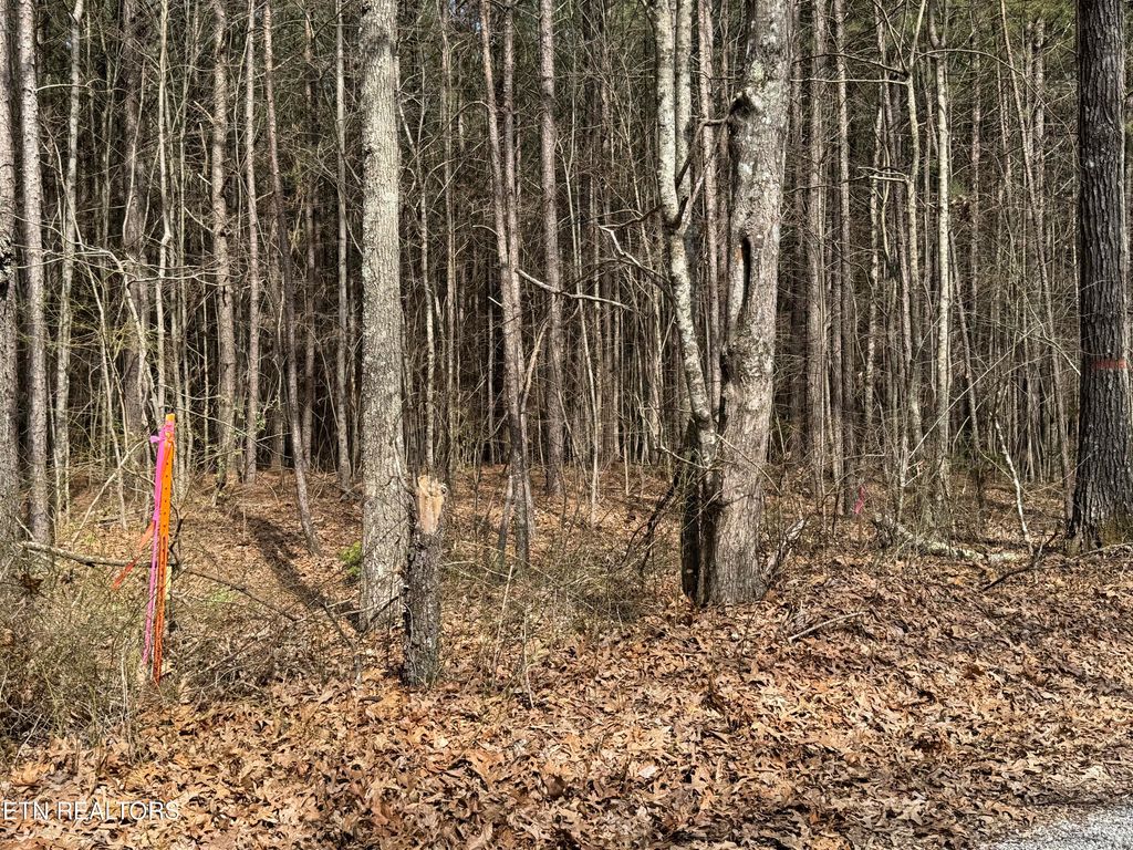 Photo of Sam Summers Rd, Rockwood, TN 37854 (MLS # 1343326)