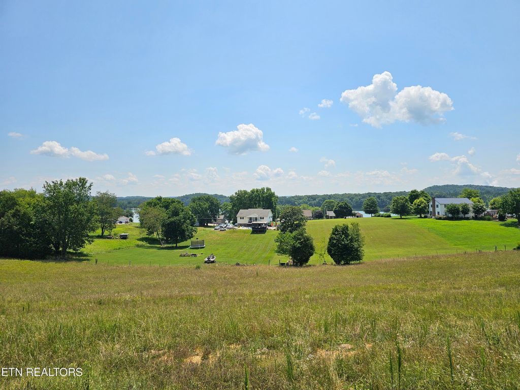 Photo of 240 Sable Estates Lane, Spring City, TN 37381 (MLS # 1308586)
