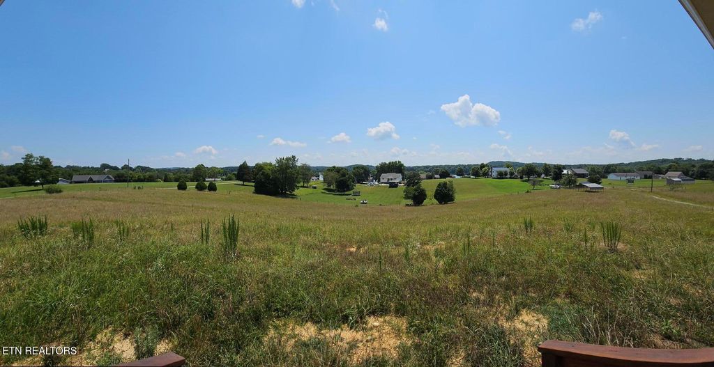 Photo of 240 Sable Estates Lane, Spring City, TN 37381 (MLS # 1308586)