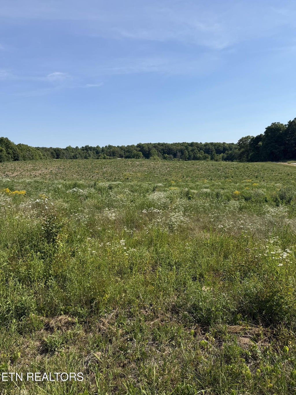 Photo of 12 Petty Rd, Sparta, TN 38583 (MLS # 1349841)