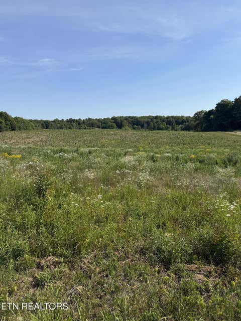 Photo of 12 Petty Rd, Sparta, TN 38583 (MLS # 1349841)