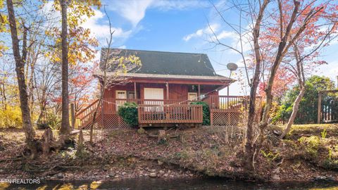 Tiny photo for 3267 Cosby Creek Rd, Cosby, TN 37722 (MLS # 1321862)
