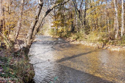 Tiny photo for 3267 Cosby Creek Rd, Cosby, TN 37722 (MLS # 1321862)