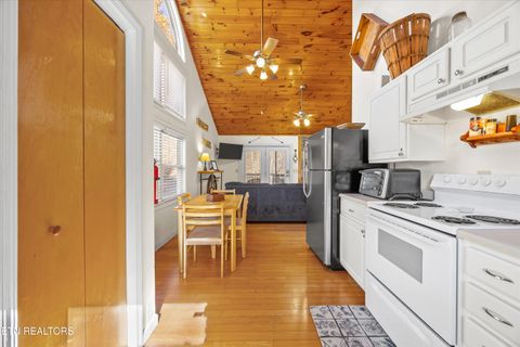 Tiny photo for 3267 Cosby Creek Rd, Cosby, TN 37722 (MLS # 1321862)