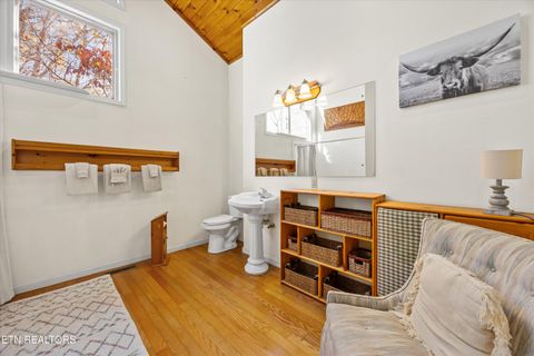 Tiny photo for 3267 Cosby Creek Rd, Cosby, TN 37722 (MLS # 1321862)