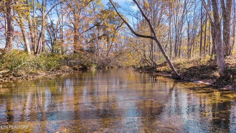 Tiny photo for 3267 Cosby Creek Rd, Cosby, TN 37722 (MLS # 1321862)