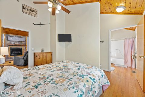 Tiny photo for 3267 Cosby Creek Rd, Cosby, TN 37722 (MLS # 1321862)