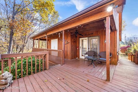 Tiny photo for 3267 Cosby Creek Rd, Cosby, TN 37722 (MLS # 1321862)