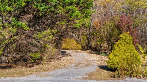 Tiny photo for 3267 Cosby Creek Rd, Cosby, TN 37722 (MLS # 1321862)