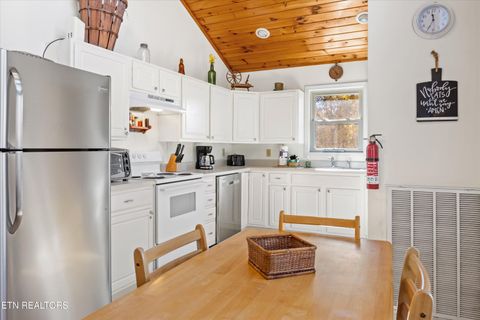 Tiny photo for 3267 Cosby Creek Rd, Cosby, TN 37722 (MLS # 1321862)