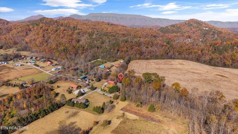Tiny photo for 3267 Cosby Creek Rd, Cosby, TN 37722 (MLS # 1321862)
