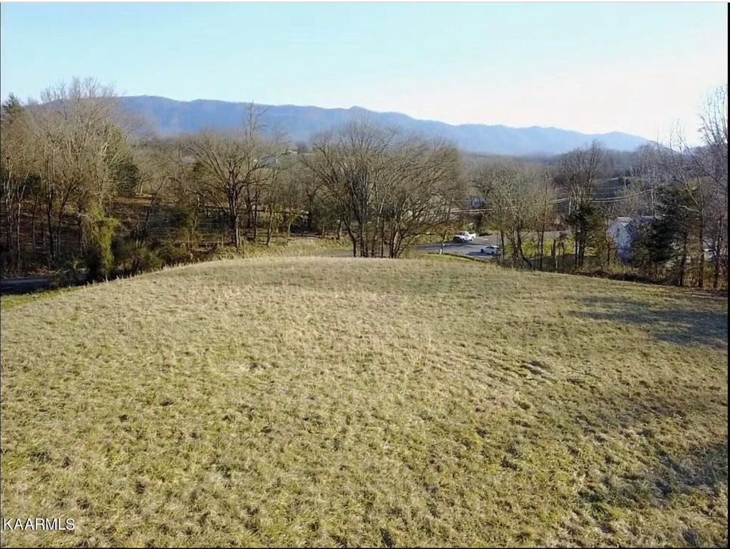 Photo of 1 Prospect Rd, Walland, TN 37886 (MLS # 1219069)