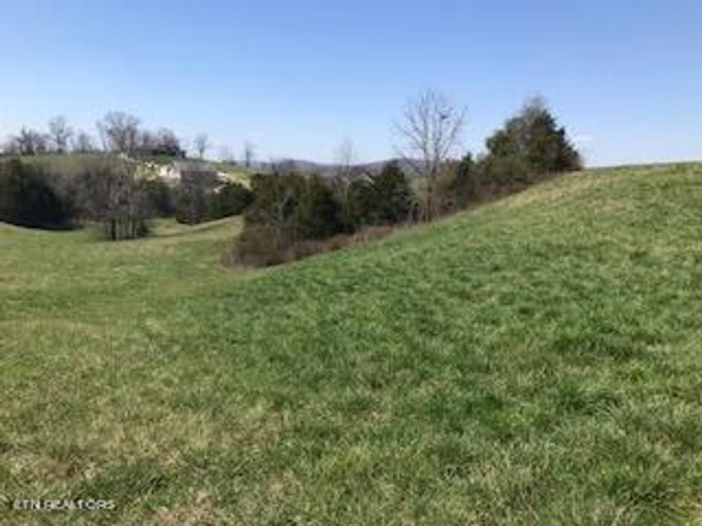 Photo of Ruth Circle, Sharps Chapel, TN 37866 (MLS # 1256677)