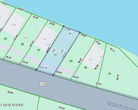 Photo of 1663 Cherohala Skyway SKWY, Tellico Plains, TN 37385 (MLS # 1350667)