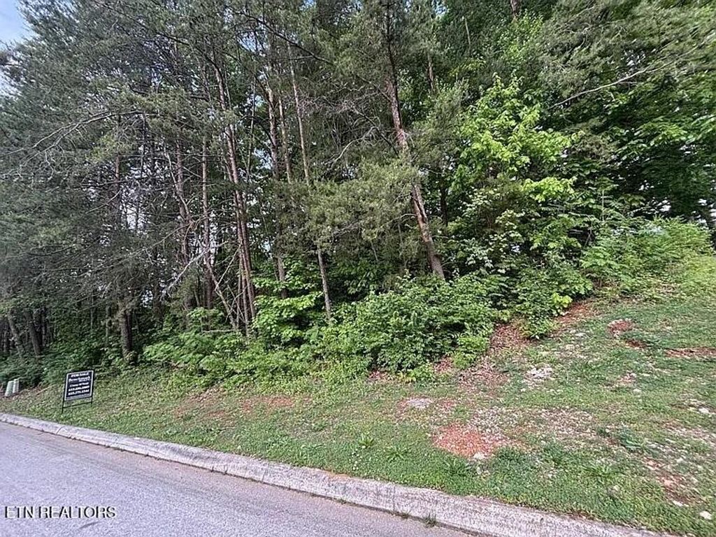 Photo of 1012 Saint Johns Drive, Maryville, TN 37801 (MLS # 1324287)