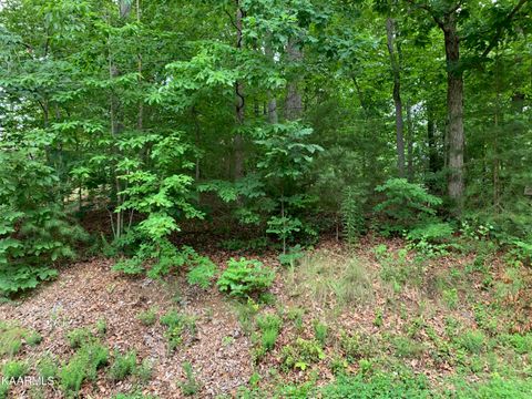 Photo of 314 Ootsima Lane, Loudon, TN 37774 (MLS # 1339436)
