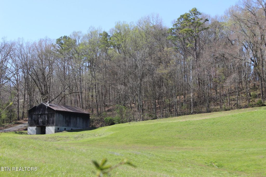 Photo of 820 Calloway Rd, Rutledge, TN 37861 (MLS # 1294486)