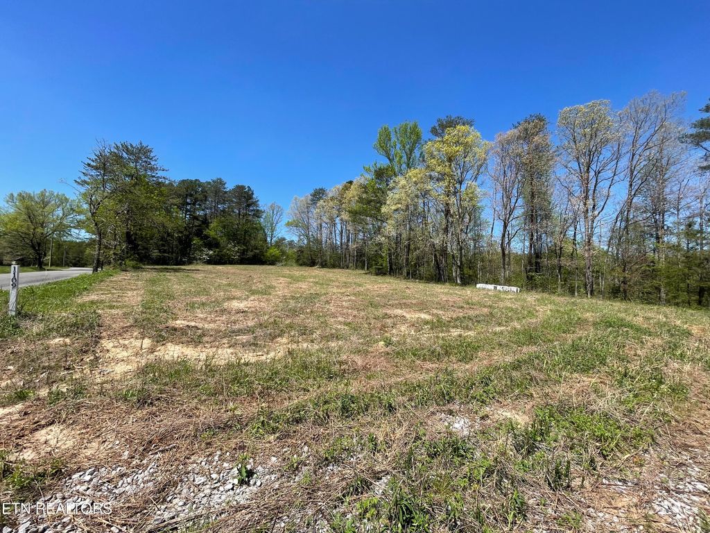 Photo of 1109 Belltown Rd, Tellico Plains, TN 37385 (MLS # 1259849)