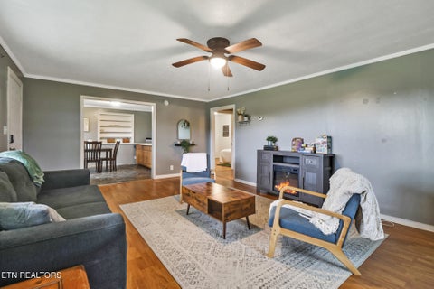 Tiny photo for 1210 Frank Campbell Rd, Jamestown, TN 38556 (MLS # 1356199)