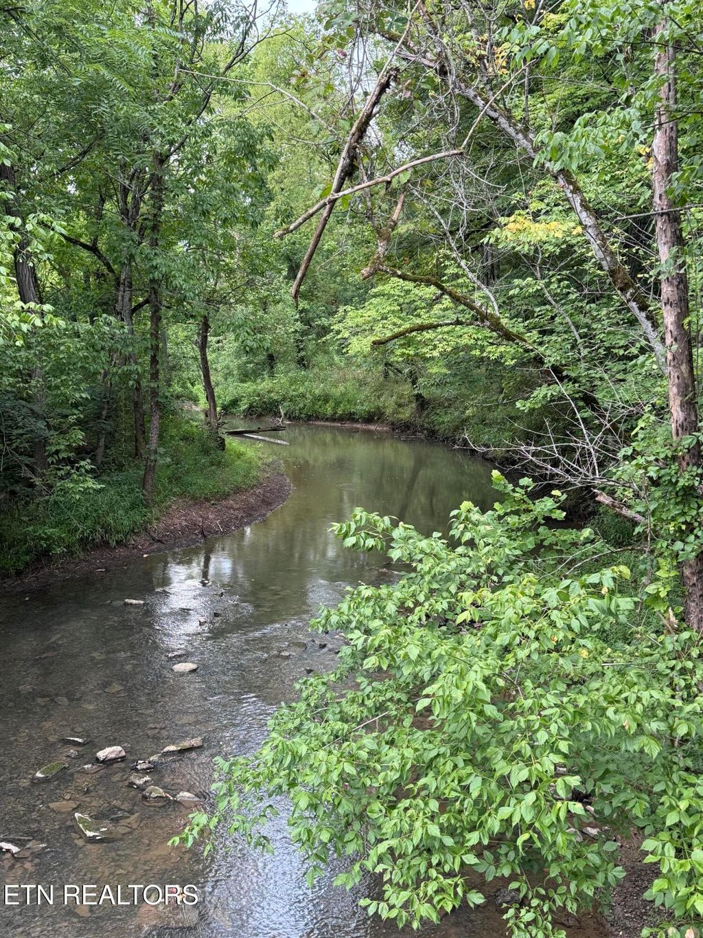 Photo of 2 Rutledge Lot 2 Pike, Blaine, TN 37709 (MLS # 1286815)