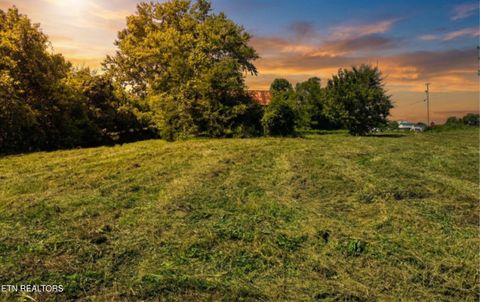 Tiny photo for Leadvale Church Rd, White Pine, TN 37890 (MLS # 1329016)