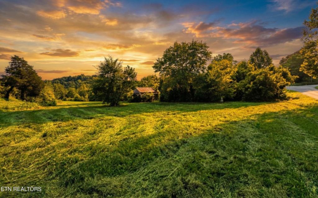 Photo of Leadvale Church Rd, White Pine, TN 37890 (MLS # 1329016)