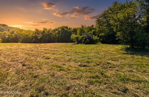 Tiny photo for Leadvale Church Rd, White Pine, TN 37890 (MLS # 1329016)