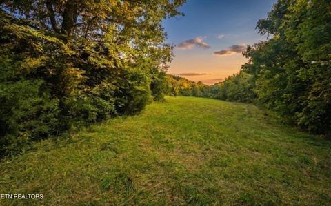 Tiny photo for Leadvale Church Rd, White Pine, TN 37890 (MLS # 1329016)