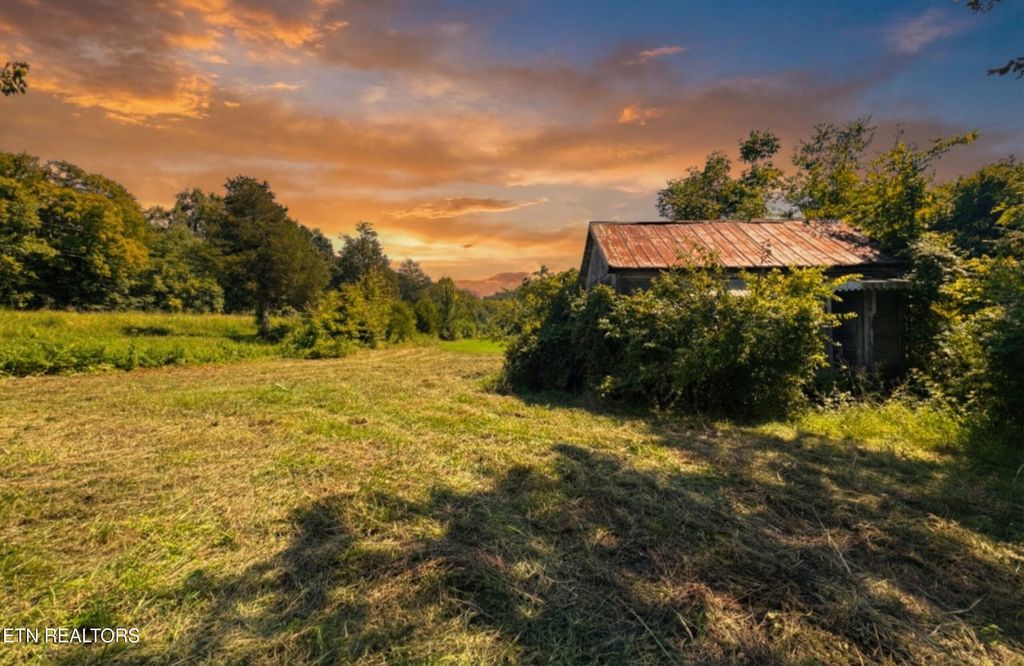 Photo of Leadvale Church Rd, White Pine, TN 37890 (MLS # 1329016)