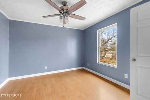 Tiny photo for 1423 Guinn Rd, Talbott, TN 37877 (MLS # 1327805)