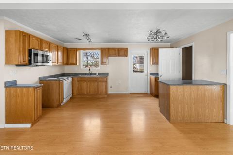 Tiny photo for 1423 Guinn Rd, Talbott, TN 37877 (MLS # 1327805)