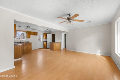 Tiny photo for 1423 Guinn Rd, Talbott, TN 37877 (MLS # 1327805)