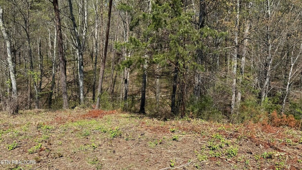 Photo of 475 Bayside Blvd, Bean Station, TN 37708 (MLS # 1297114)