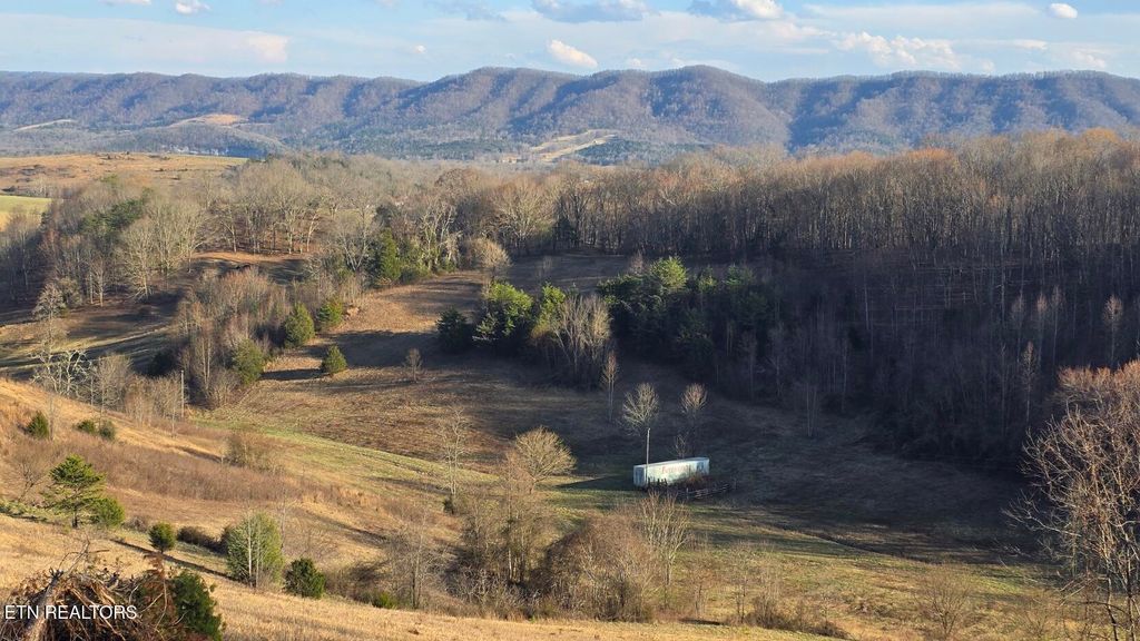 Photo of 1874 Blue Hollow Rd, Rose Hill, VA 24281 (MLS # 1331388)